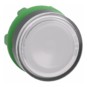 morepic-1