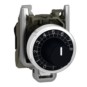 morepic-1