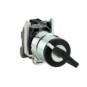 morepic-1