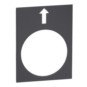 morepic-1