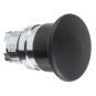morepic-1