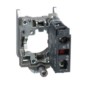 morepic-1