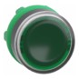 morepic-1