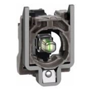 Lampenfassung ws Integral LED 24V ZB4BVB1 