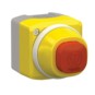 morepic-1