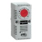 morepic-1