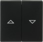 morepic-1