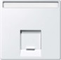 morepic-1