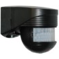 morepic-1