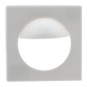 morepic-1