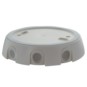 morepic-1