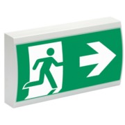 LED-Rettungszeichenleuchte RAL7035 IP41 SV EURO 1-1/D LED 