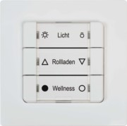 DuoFern Mehrfachwandtaster ultraweiß 9494-2 