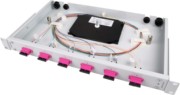 Spleißbox bestückt 6xSCD 50/125OM4 1HE TNSB-Be-6SCD-50-OM4 