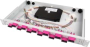 Spleißbox bestückt 12xSCD 50/125OM4 1HE TNSB-Be-12SCD-50-OM4 