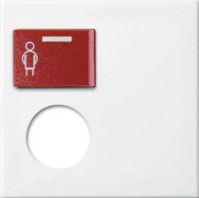 Zentralscheibe alpinws Licht-Ton-Rufsysteme 2548-071 E-914 