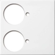 Zentralscheibe alpinws Licht-Ton-Rufsysteme 1790-592-914 