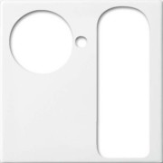Zentralscheibe alpinws Licht-Ton-Rufsysteme 1790-594-914 