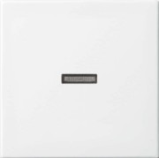 Wippe aws Busch-balance SI 1789 N-914 