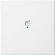 Wippe aws Busch-balance SI 6233-10-914 