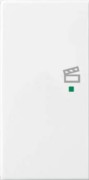 Wippe aws Busch-balance SI 6233-21-914 
