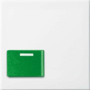 Zentralscheibe alpinws Licht-Ton-Rufsysteme 2548-642 C-914 