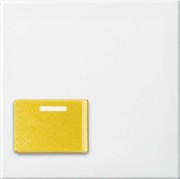 Zentralscheibe alpinws Licht-Ton-Rufsysteme 2548-642 D-914 