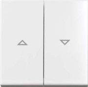 Wippe aws Busch-balance SI 2504-914 