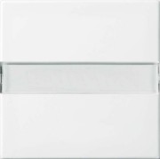 Wippe aws Busch-balance SI 2506 N-914 