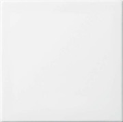 Wippe aws Busch-balance SI 2506-914 