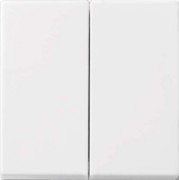 Wippe aws Busch-balance SI 2505-914 