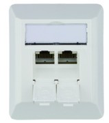 Anschlussdose AMJ45 8/8K Ap Cat6A aws 80x65mm 100023002 