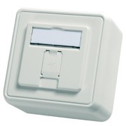 Modul-Aufnahme AP 80x80 1fach aws leer 100021381 