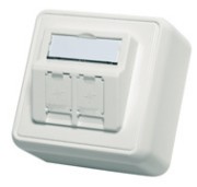 Modul-Aufnahme AP 80x80 2fach aws leer 100021382 