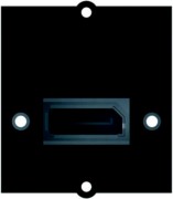 Rahmen DisplayPort Buchse 917.145 