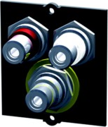 Rahmen 1xVideo+Cinch Stereo BVM-1 917.026 