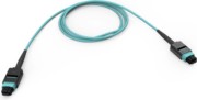 EDGE8 Patchkabel 5m 50µm MM OM4 8F MTP JE6E608QEZ-NB005M 