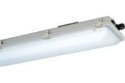 LED-Ex-Wannenleuchte IP66 e865F 12L60 