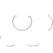 Sprengring GX5,3 / 51 mm 5347.02 