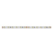 LED-Flexband 5000mm 24V 6000K IP00 15201005 