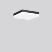 RZB LED-Wand-/Deckenleuchte 830/840 312537.0031 