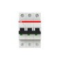 morepic-1