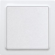 Wippschalter reinweiß glänzend WS55E-wg 