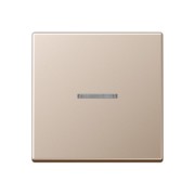 KNX RF Taster 1fach Duroplast lackiert A 10911 ST CH 