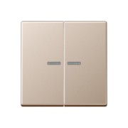 KNX RF Taster 2fach Duroplast lackiert A 10921 ST CH 