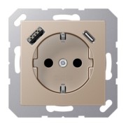 SCHUKO Steckdose mit USB Typ AC A 1520-15 CA CH 