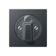 Abdeckung für Drehschalter anthrazit matt A 1541 BF ANM 