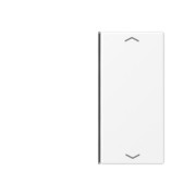 Taste 2-fach schneeweiß matt A 402 TSAP WWM 