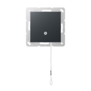 Zugwechselschalter 10 AX anthrazit matt A 506 BF NUZ ANM 