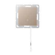 Zugwechselschalter 10 AX champagner A 506 BF NUZ CH 